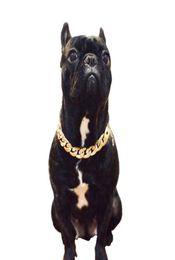 Pet Dog Necklace Collars Thick Gold Chain Plated Plastic Identified Safety Collar Puppy Dogs Supplies dog accessories2466581