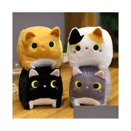 Stuffed Plush Animals Square Love Fat Cat Doll Soft Cute Big Face Pussy Ragdoll For Children Soothing Cylindrical Lithe Down Cotton Pi Dhtwo