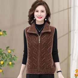 Women's Vests Foreign Middle Aged Mother Imitation Mink Velvet Vest Jacket Women Autumn Winter Loose Casual Sleeveless Female Waistcoat