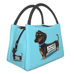 Ice Packs/Isothermic Bags Cute Dachshund Dog Insulated Lunch Bags for Women Sausage Wiener Badger Dogs Portable Thermal Cooler Bento Box Work Travel J230425