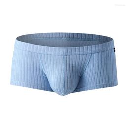 Underpants Men Boxer Underwear Low Waist Sweat Breathable Shorts Penis Enhancing Pouch Panties Striped For Male Boxershorts