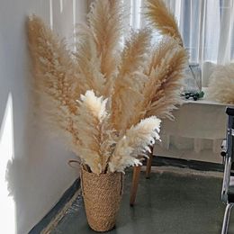 Decorative Flowers 80cm Natural Reed Dried Flower Big Pampas Grass Bouquet Wedding Ceremony Decoration Modern Home