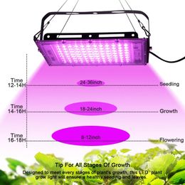 LED Grow Lights Full Spectrum 220V 110V 50W 100W 200W 380-440NM With EU Plug Led For Greenhouse Hydroponic Flower Seeding Phyto Lamp