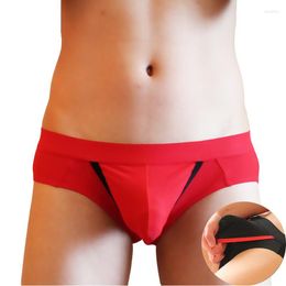 Underpants Men Sexy Underwear Briefs Mesh Breathable Low Waist Gay Penis Pouch Male Panties Shorts Ropa Interior Hombre