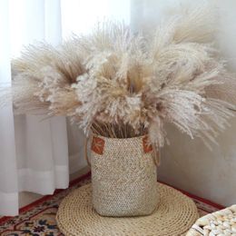 Decorative Flowers Rural Natural Home Furnishings Dry Flower Okra Fruit Indoor Decoration Soft Shooting