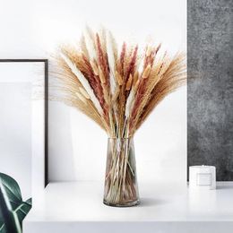 Decorative Flowers Pampas Dried Dry White Grass Tall Eucalyptus Artificial