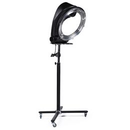 Multi-Function Beauty Hair Salon Equipment Professional 950W Hair Color Processor With Stand Hair Accelerator