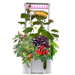 Hydroponics Growing System,Smart Hydroponic Gardening System with LED Grow Light,Indoor Garden Hydroponic Herb Grow Kit with Climbing Trellis for Short Tomato