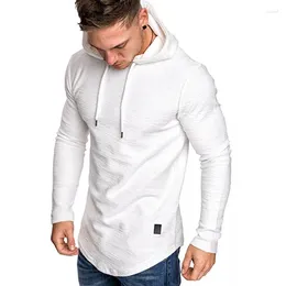 Men's Hoodies 2023 Summer Loose Hooded T-shirt Casual Raglan Long Sleeve European Size Coat