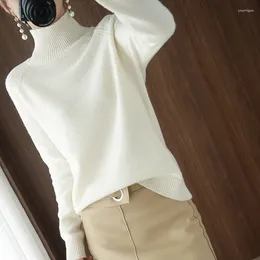 Women's Sweaters Holifeni Turtleneck Pullover Fall/winter 2023 Cashmere Sweater Women Pure Colour Casual Long-sleeved Loose Bottoming