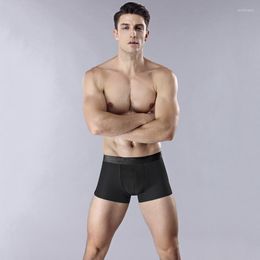 Underpants 4 Pcs/Lot Men's Boxer Briefs Mesh Breathable Undies Comfortable Man Panties Ice Silk Antibacterial Men Underwear