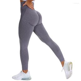 Active Pants Seamless Knitting Yoga Leggings Women High Waist Tights Cropped Elastic GYM Squat Proof BuLift