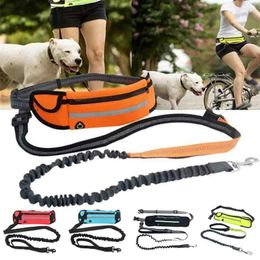 Dog Collars Reflective Pet Leashes With Bag Running Hands Free Full Function Portable Waist Collar Rope Dogs Leash Traction