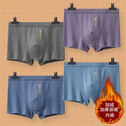 Underpants Solid Colour Warm And Comfortable Men's Underwear Fall Winter Plus Size Loose For Men