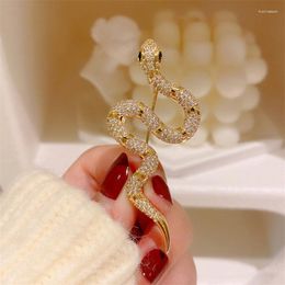 Brooches Luxury Copper Gilled Full Zircon Shiny Cool Special Snake Brooch Corsage Women Ladies Suit Pin Buckle Unisex Fashion Accessories