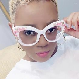 Sunglasses Ladies Glasses Anti-Blue Light Fashion Personality Retro Classic Pattern Cat Eye Plain Street Shooting Party