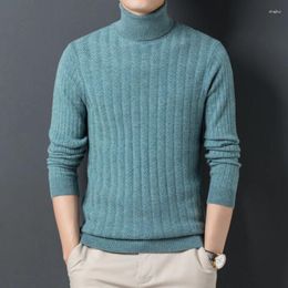 Men's Sweaters Autumn Winter Turtleneck Sweater Slim Bottoming Shirt Elegant Business Casual Pure Wool