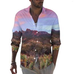 Men's Casual Shirts Desert Sunset Male Cactus Landscape Shirt Long Sleeve Loose Streetwear Blouses Autumn Graphic Clothing 3XL 4XL