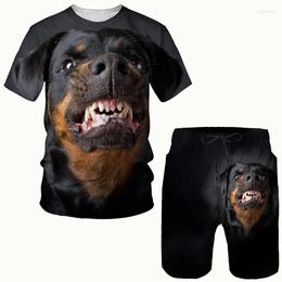 Men's Tracksuits Rottweiler 3d Printed Men T-shirt Shorts Set Sportswear Tracksuit Summer O Neck Short Sleeve Cool Clothing Suit