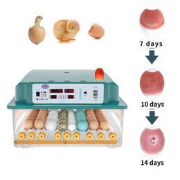 Products Incubator Egg Fully Automatic Brooder Hatchery Machine Turner Home Incubator Controller Farm Egg Incubator Chickens Bird Egg