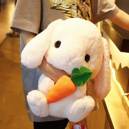 Easter New Rabbit Plush Doll Holding Radish Little White Rabbit Toy Throwing Pillow Cute Cloth Doll Gift Wholesale in Stock