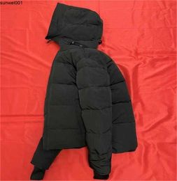 Men's Down Parkas Mens Down Jackets Veste Homme Outdoor Winter Outerwear Big Fur Hooded Manteau Down Coat Hiver Parka Doudoune E863