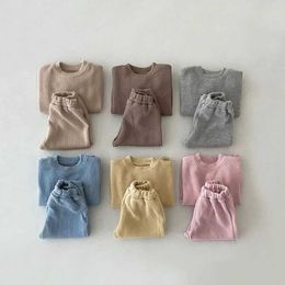 Clothing Sets Korea New Baby Boy Tracksuit Solid Colour Sweatshirt Pants 2pcs Sport Suit Toddler Kids Outfits Girls Clothes Set