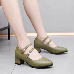 Dress Shoes Retro Block Mid Heels Mary Jane For Women Spring 2023 Fashion Double Buckle Strap Pumps Lady Office Large Size 33-47