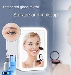 8L Espelho Beauty Refrigerator Car Domeritory Mini Máscara Facial de Máscara de Dual
