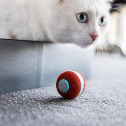 Toys Smart Cat Toys Interactive Ball Cat Training Toy Intelligent Pet Playing Ball Pet Automatic LED Rolling Flash Toy Ball For Cat