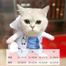 Clothing Cat funny cosplay dramer career clothing costumes pets cute costumes cat costumes funny cats and dogs costumes stand up