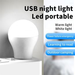 Night Lights Portable USB LED Light Small Round Book Reading Study Power Bank Table Lamp Home Bedroom Travel Camping