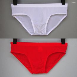 Underpants 2PCS Ice Silk Men Briefs Summer Ultra Thin Sexy Underwear High Elasticity Low Waist U Conve Pouch Seamless Panties