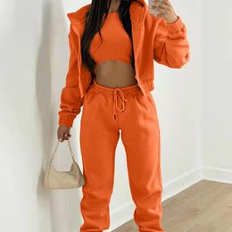 Women's Two Piece Pants Women Suit Autumn Fashion Solid Colour Simple Hooded Long-sleeved Zipper Sweater Sports Casual Three-piece In Waist