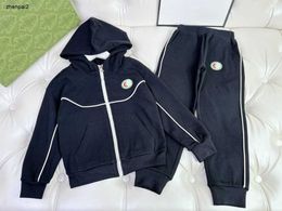 Luxury baby tracksuits kids designer clothes Size 100-160 Colourful embroidered logo hooded girl boy jacket and pants Nov25