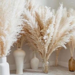 Decorative Flowers 80cm Fluffy Large Pampas Grass Tall Natural Dried For Garden Decoration Outdoor Wedding Arch Decor