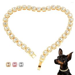 Dog Collars Luxury Pet Necklace Cat Collar With Diamond Bling Jewelry Metal Crystal Rhinestone Dogs Cats Chihuahua Supplies