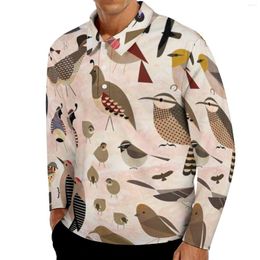 Men's Polos Sonoran Birds Print Casual Polo Shirts Bird Art T-Shirts Long Sleeve Design Shirt Street Style Oversized Tops Birthday Gift