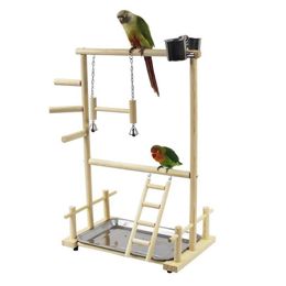 Toys Wooden Parrot Playstand Double Layer Bird Play Stand Cockatiel Playground Wood Perch Gym Playpen Ladder with Feeder Cups Toys