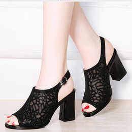 Sandals Women Korean Thick Heel Hollow Female Fashon Mesh Square Fish Mouth Dress Party Shoes 2023
