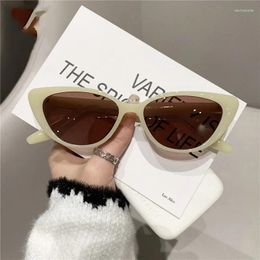 Sunglasses 2023 Small Cateye Women Glasses High Quality Eyewear Women/Men Mirror Gafas De Sol Mujer