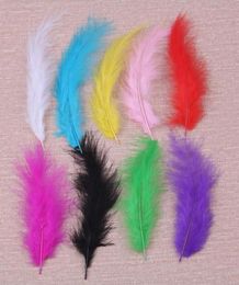 Party Decoration 100pcsLot Turkey Feather Birthday DIY Handmade Decorations Wedding Decor Transparent Balloon Filling5985367