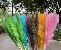 Decorative Flowers Wreaths Dekoration Natural Dried Pampas Grass Phragmites Artificial Plants Small Reed Flower Bunch For Home D3690756
