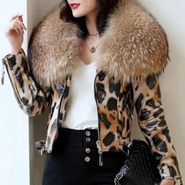 Women s Fur Faux 2023 Luxury Winter Women Genuine Leather Short Brand Sheepskin Leopard Print Motorcycle Jacket Big Collar Slim 231127