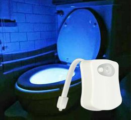 8 16 Colours LED Toilet Nightlight Motion Activated Light Sensitive Dusk to Dawn Batteryoperated Lamp Body OnOff Seat Sensor PIR 1042627