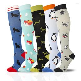 Sports Socks Unisex Outdoor Running Compression Tired Anti Animal Pattern Varicose Veins Stockings For Men Women Travel Flight