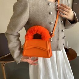 Shoulder Bags Exquisite Designer Fur Women's Handbag Fashion Simple Crossbody Bag Hobos Mini Small Winter