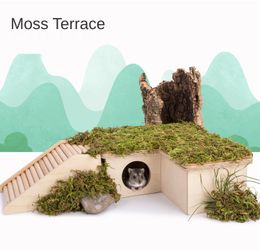 Cages Natural Moss Mat Hamster Multiroom Moss Terrace Hamster Cage Landscaping Supplies Hamster Moss Terrace Small Pet Accessories
