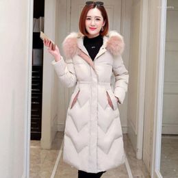 Women's Trench Coats Winter Coat Cotton-Padded Jacket Women Parka Fashion Hooded Jackets Fur Collar Korean Version Waist Slim Female