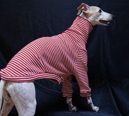 Dress Italian Greyhound Winter Red Striped Sweater Christmas New Year Whippet Turtleneck Soft Acrylic